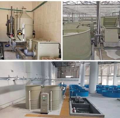 Protein Skimmer for RAS Fish Farming 600mm Barrel Diameter Micro Nano Foam Fractionato